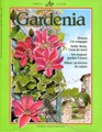 147-Gardenia-lug-96