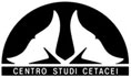 Centro-Studi-Cetacei2