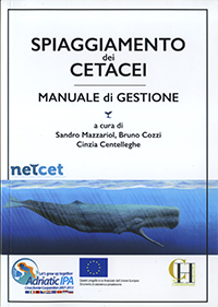 Spiaggiamento dei Cetacei